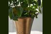 Miniaturansicht Goldene Aluminiumvase Florist 3