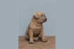 Miniaturansicht Hundefigur aus braunem Kunstharz Mops 2