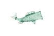 Miniaturansicht Krug aus transparentem recyceltem Glas Fish 1